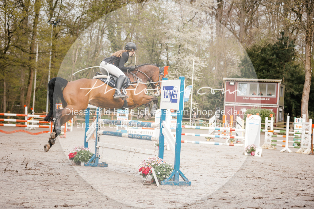 3I6A3179 | Stimmungsvolle Portraits und Reitsportfotografie im Ruhrgebiet und im Münsterland.

Pferdefotografie, Hundefotografie, Tierfotografie, Reportagen, Portraits von Tier und Mensch, Turnierfotografie in Bochum, Recklinghausen, Marl, Haltern am See, Dülmen.. - Realisiert mit Pictrs.com