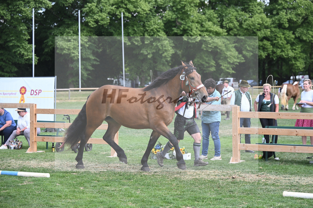 Kat-Nr. 68 Premisse_Gasteiger_20231121 | hf-fotografie - Realisiert mit Pictrs.com