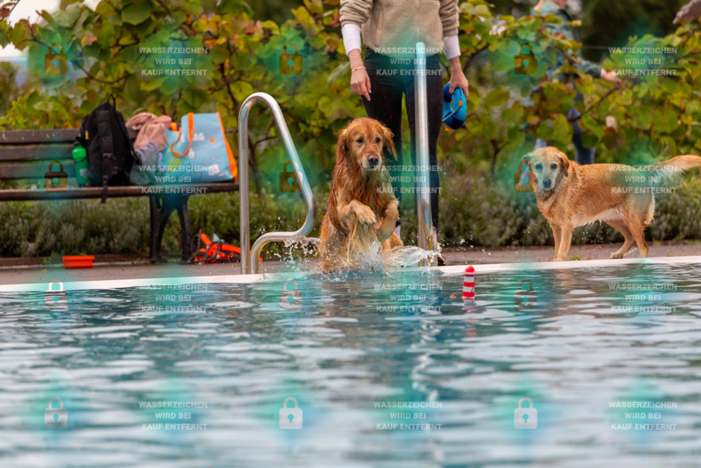 _HP_6116_1000o | HetPix, HetPix Fotodesign, Fotografie, Fotodesign, Webshop, Sportfotografie, Portraitfotografie, Onlineshop, Sportfotografie, Polch, Motorsportfotografie, Eventfotografie