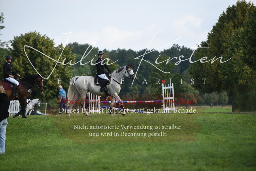 DSC_8566 | Pferde- und Turnierfotografie in Westsachsen. Pferdeportraits, Auftragszeichnungen und intuitive Kunst.