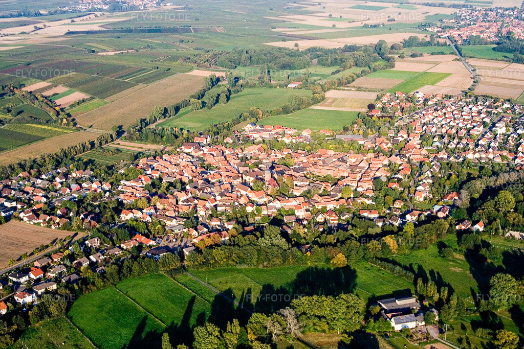 Luftbild: Ortsansicht von Westen im Ortsteil Billigheim in Billigheim-Ingenheim im Bundesland Rheinland-Pfalz in Deutschland. Foto: IMG_13728.jpg vom 28.09.2008 durch Werner Riehm/FLY-FOTO.de