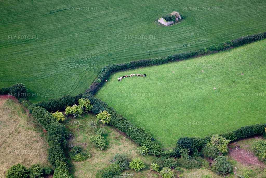 Vue aérienne: Vue de la ville à Ipplepen dans le département Angleterre, Grande Bretagne. Photo: IMG_19752.jpg prise le 25/07/2009 par Werner Riehm/FLY-FOTO.euRésolution de l'original: 4752 x 3168 px