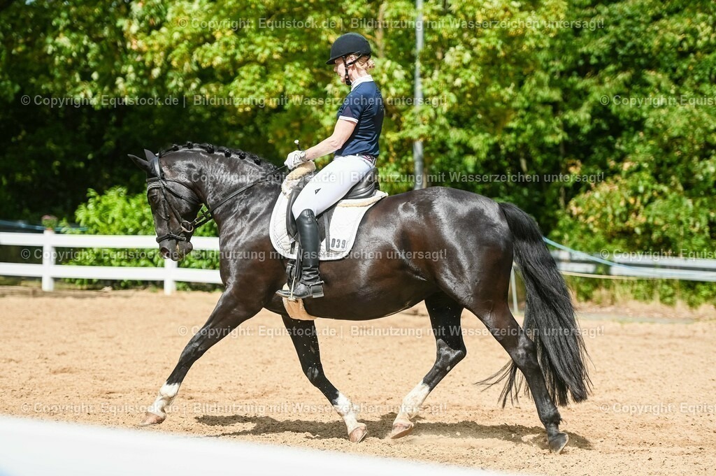20230715_02_Dressurreiterprüfung Kl.L_0359 | equistock