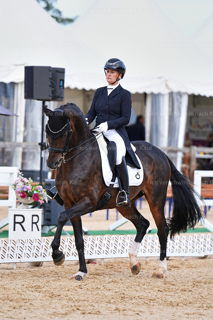6-127-AMATUER-DRESSUR S_  -Marixx-3681 | working equitationturnier fotograf videograf stoibphotography marixx film working equitation deutschland reitsport turnierfotografie eventfotografie equestrian events