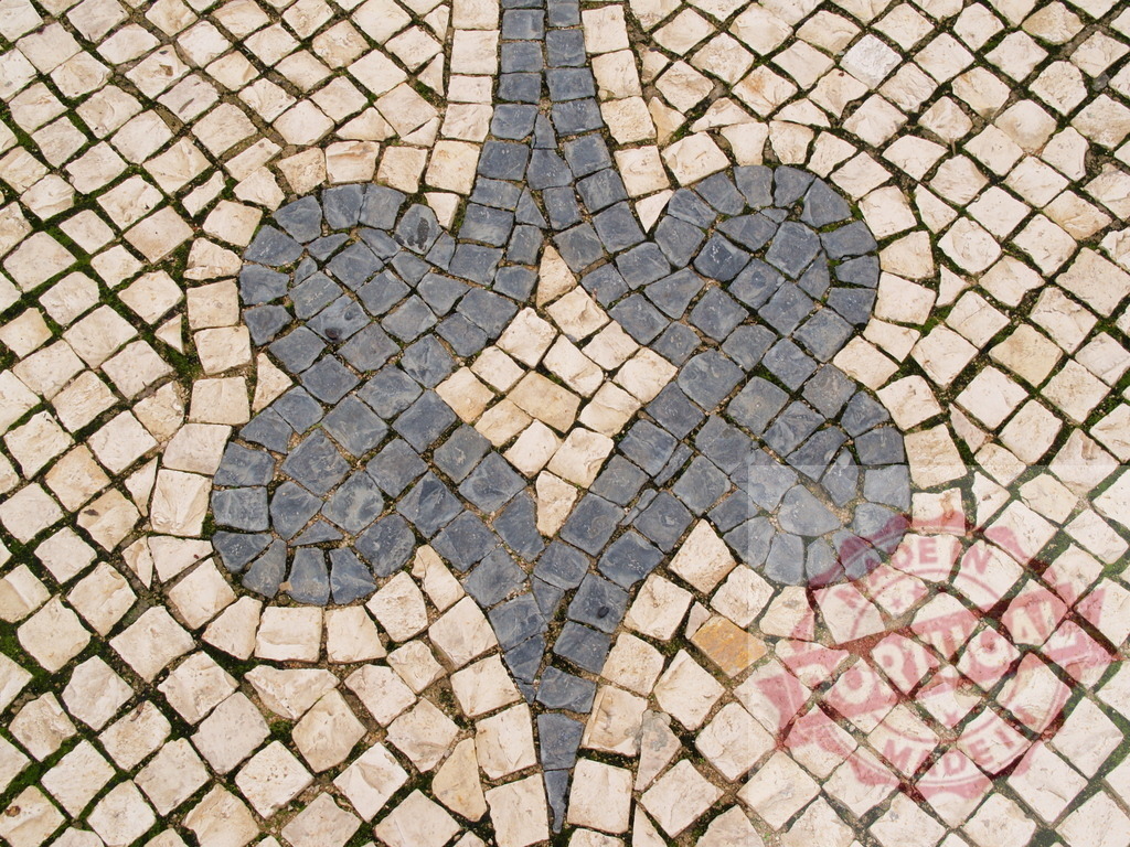 Portuguese pavement mosaic forming fleur-de-lis pattern | Portuguese pavement with black and white cobblestones creating a decorative fleur-de-lis design - Realisiert mit Pictrs.com