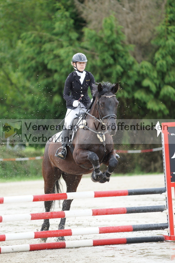 DSC06574 | equestrian-live-com