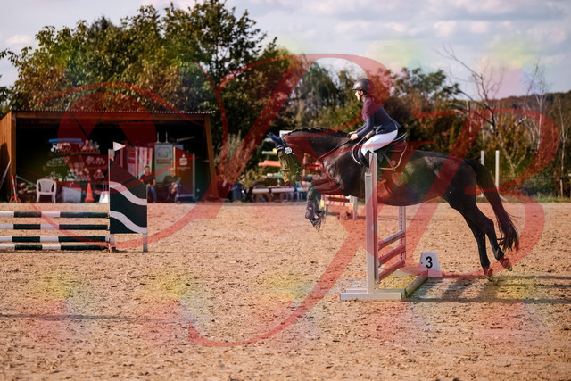2026_10_03_Siefer-Hof_160107_Z81_81782244 | Professionelle Reitsport-, Turnier- und Eventfotografie von Robert Broda. Galerien mit ausgewählten und bearbeiteten Bildern direkt online ansehen und bestellen.