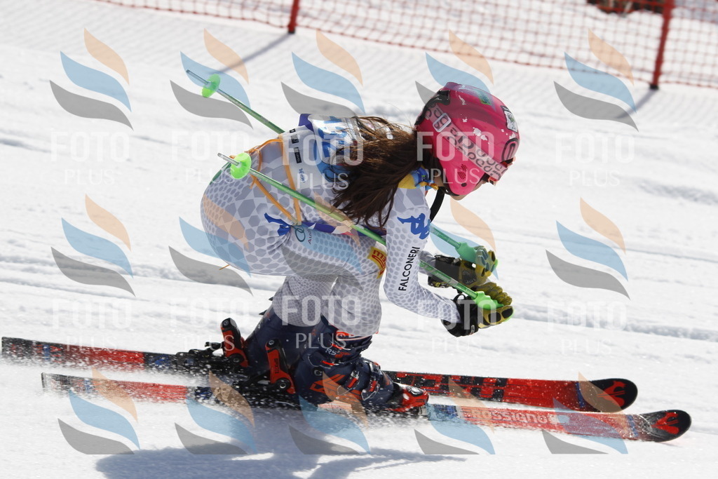 _U3G0904 | holidayphoto