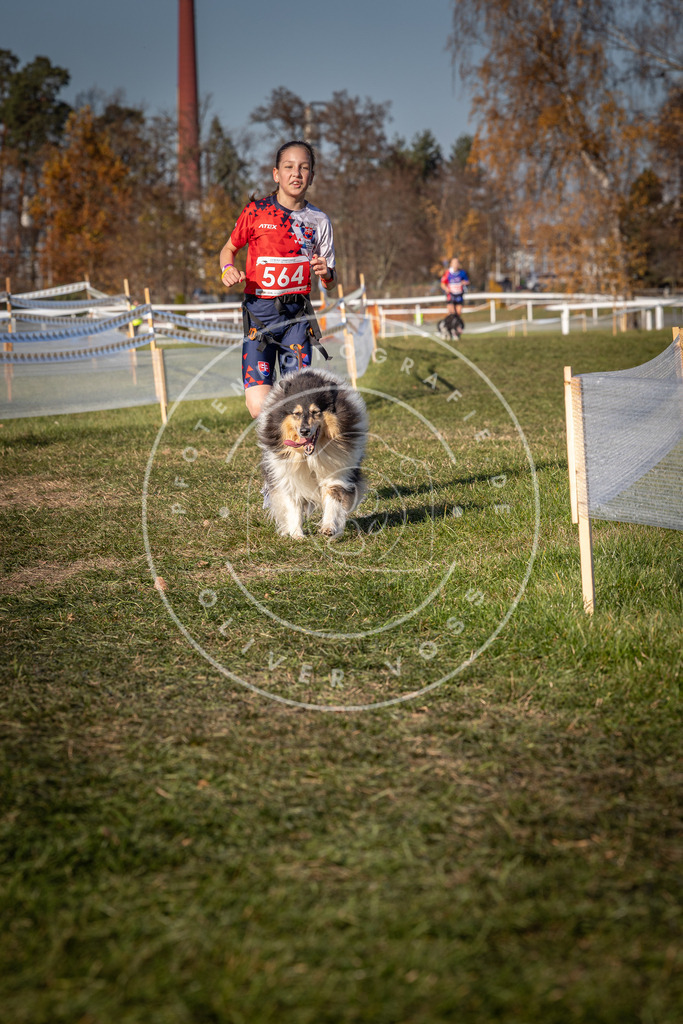 CaniXpix_0L8A7899 | Hundefotografie, Tierfotograf, Pfotenfotografie, Fotoshooting Hund, Hunde Portrait, Hundesport, Hundeportraits, Heideshooting, Hunde, Sportfotograf, Hundefotograf, Turnierhundsport, THS,  - Realisiert mit Pictrs.com