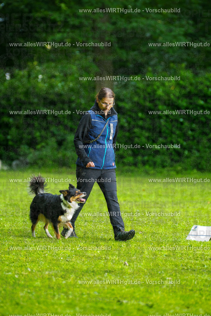 @allesWIRTHgut_Tierfotografie - www.allesWIRTHgut.de - 7R502293 | Professionelle Tierfotografie in Mönchengladbach von Daniel Wirth (allesWIRTHgut). Liebevolle & natürliche Bilder von Hunden & Katzen für unvergessliche Erinnerungen.