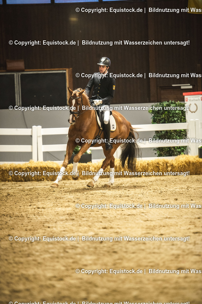 20240302_Hengstvorstellung_Marbach_TOMsPiC_0352 | equistock