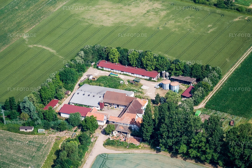 Luftbild: Leistenmühle in Erlenbach bei Kandel im Bundesland Rheinland-Pfalz in Deutschland. Foto: IMG_2798.jpg vom 18.06.2006 durch Werner Riehm/FLY-FOTO.de