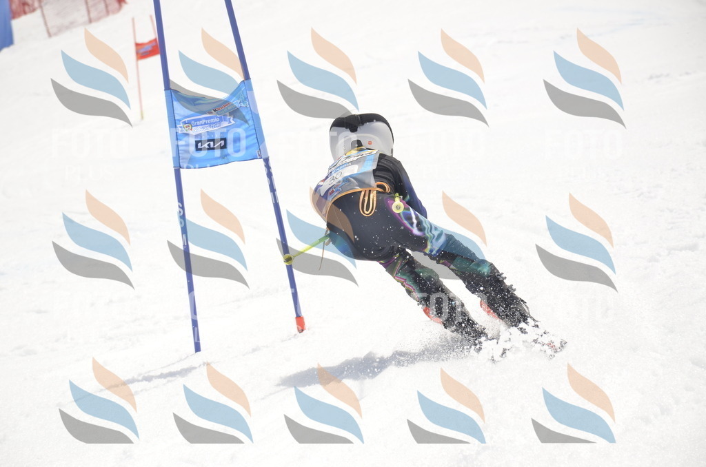 _ELE8921 | holidayphoto