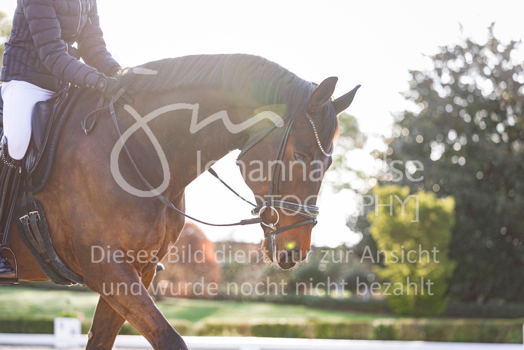 260411_Kronberg_Impressionen-201 | Deine schönsten Turniermomente als professionelle Fotos! Entdecke hochwertige Pferdesport-Fotografie im Online-Shop. Jetzt Fotos finden & bestellen!