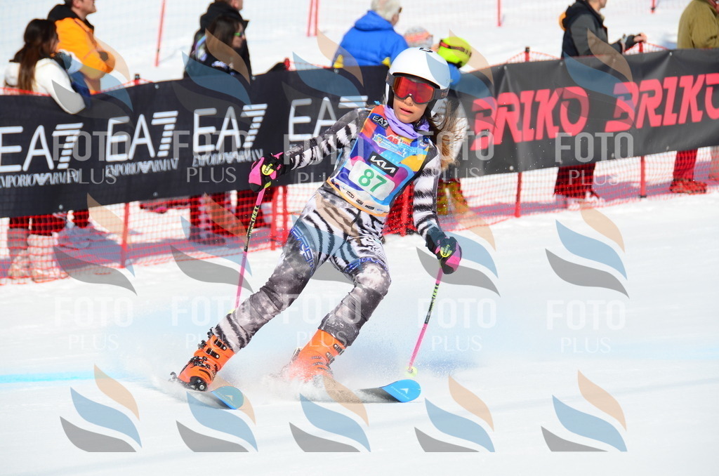 DSC_0582 | holidayphoto