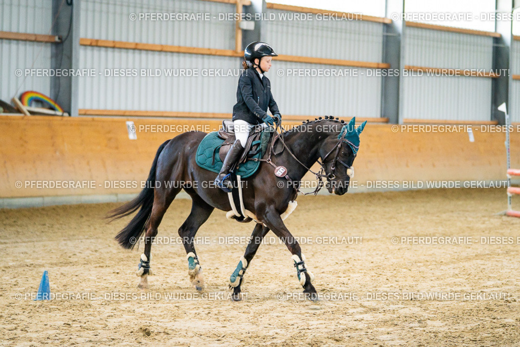 DSC00475 | Pferdegrafie