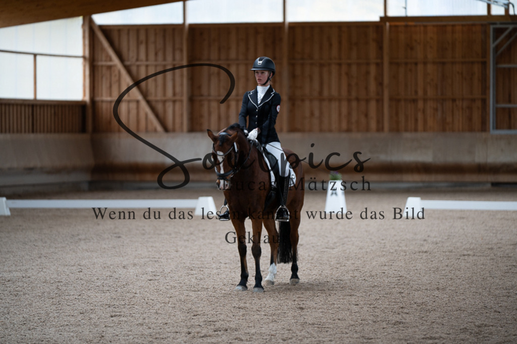 A7V02488 | Pferdefotograf