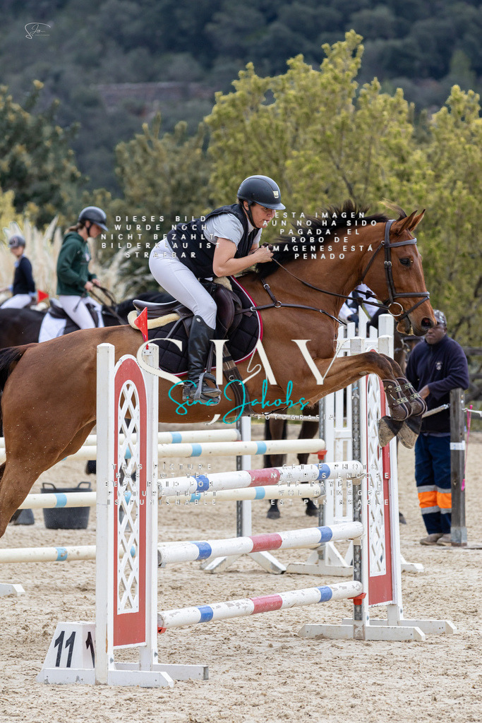 IMG_4044 | s-jay-photography - Realisiert mit Pictrs.com