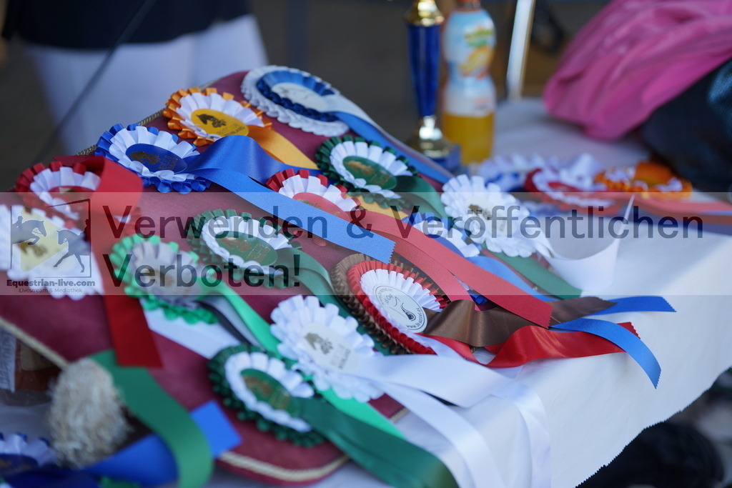 DSC02383 | equestrian-live-com