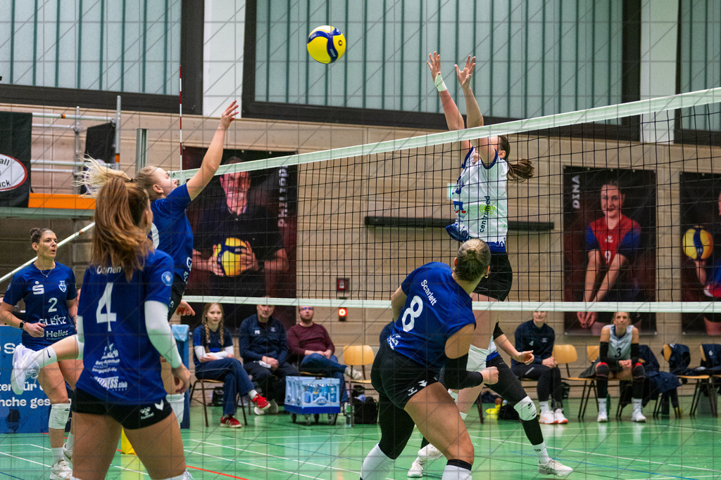 2. VBLF Nord 25/26 | Spiel 4097 | VC Osnabrück vs. Team 48 Hildesheim | //  21.02.26: 2. VBLF Nord 25/26 | Spiel 4097 | VC Osnabrück vs. Team 48 Hildesheim / Osnabrück / Deutschland  //   CREDIT:www.bullenfotos.de, Martin König, Hörner Weg 40, D-49078 Osnabrück, +4917663732967 // Nutzung und Weitergabe nur zu den vereinbarten Zwecken. Presseanfragen an Ersteller. Alle Rechte beim Ersteller. Honorierung nach MFM. - Realisiert mit Pictrs.com