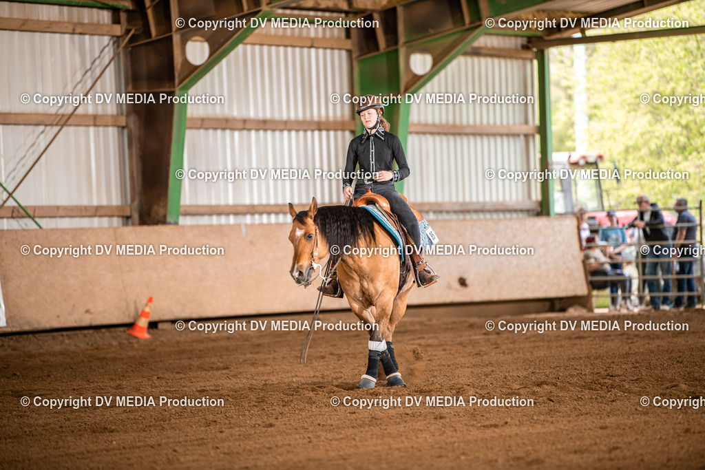 Balingen Tag 4-960 | dv-media-shop - Realisiert mit Pictrs.com