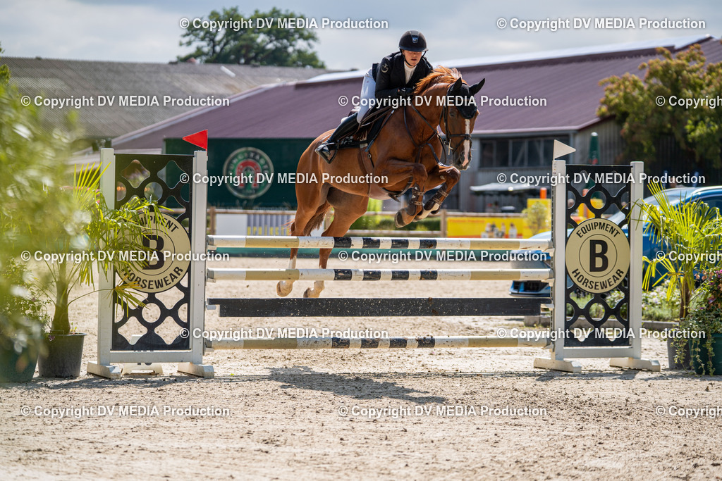 Hessische Tag 1-353 | dv-media-shop - Realisiert mit Pictrs.com