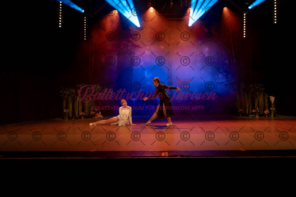Ballettaufführung-368 | Bildershop Lem'n Entertainment - Realisiert mit Pictrs.com