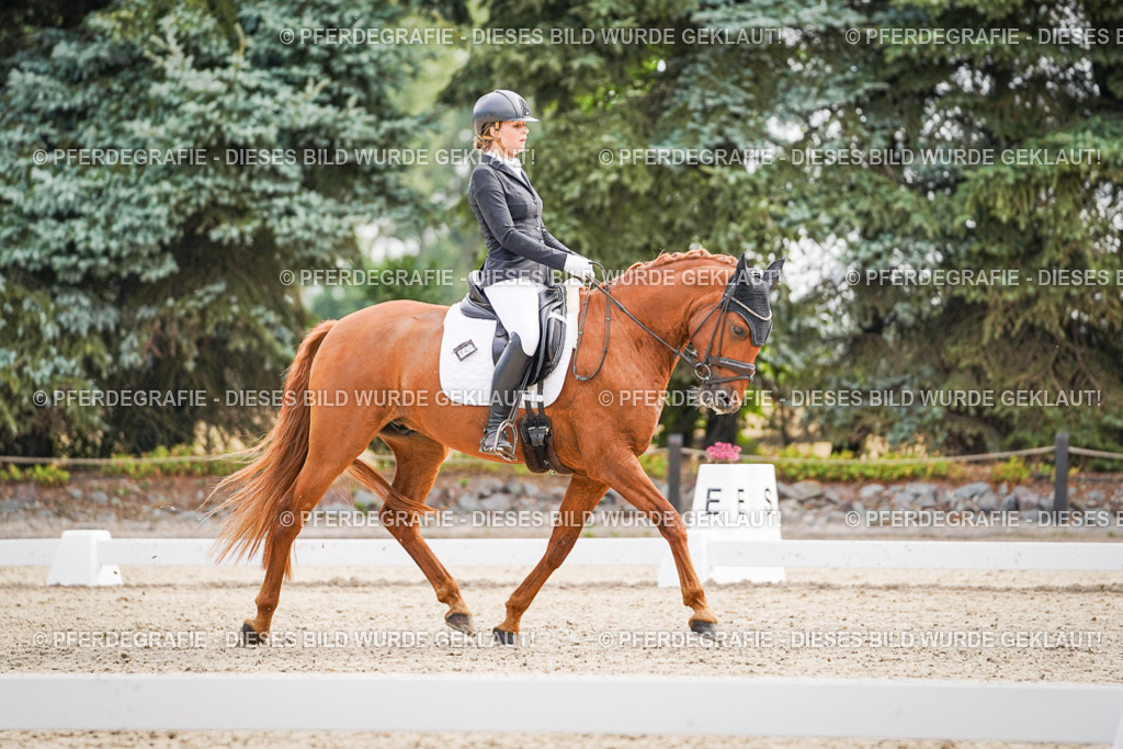 DSC01412 | Pferdegrafie