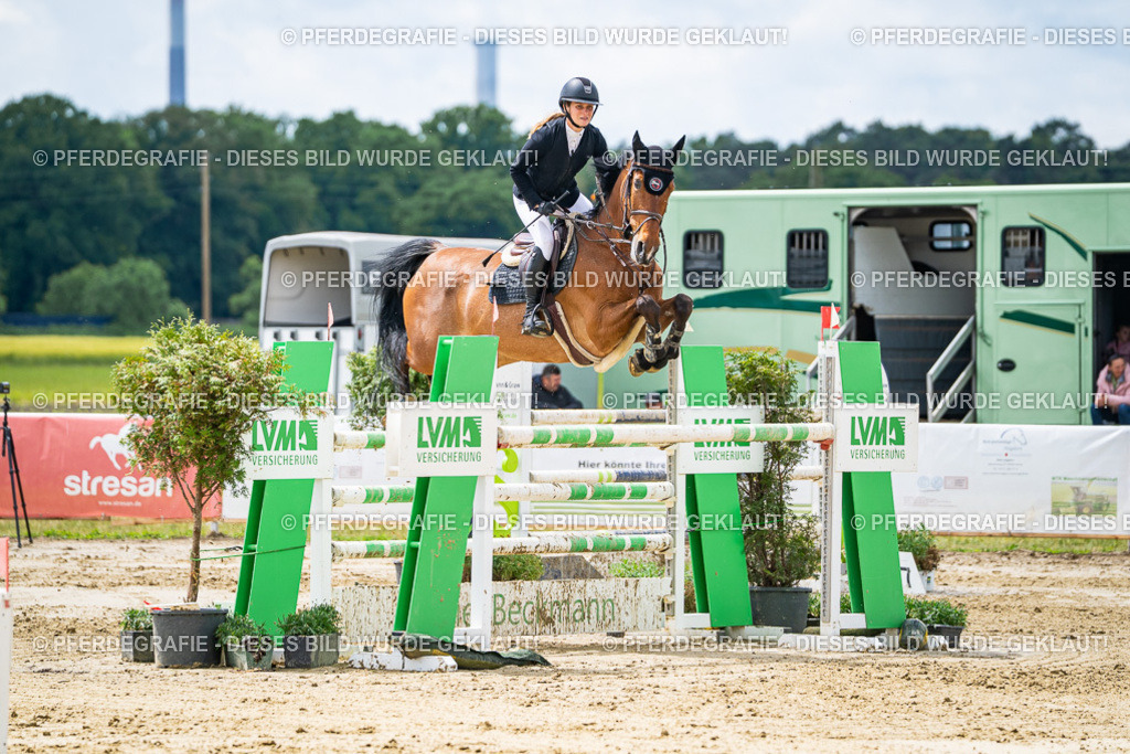 DSC04791 | Pferdegrafie