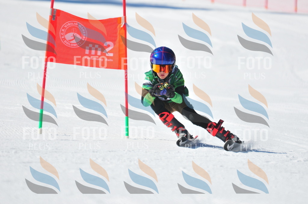 C3701 | holidayphoto