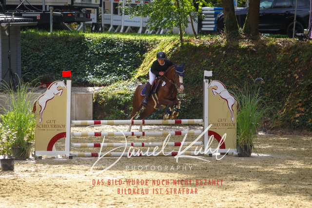 DKP40359 | Turniersportfotografie; Pferdefotografie; Dressurfotografie