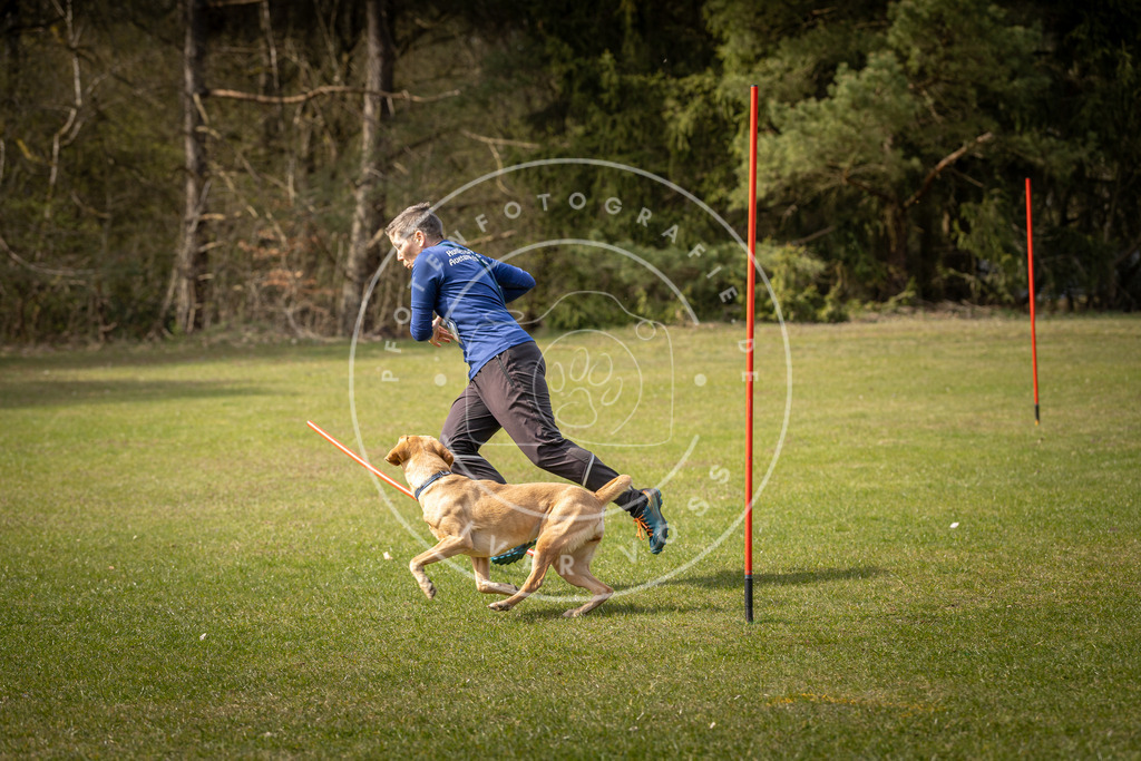 Pfotenfotografie_DV3A9719 | Hundefotografie, Tierfotograf, Pfotenfotografie, Fotoshooting Hund, Hunde Portrait, Hundesport, Hundeportraits, Heideshooting, Hunde, Sportfotograf, Hundefotograf, Turnierhundsport, THS,  - Realisiert mit Pictrs.com