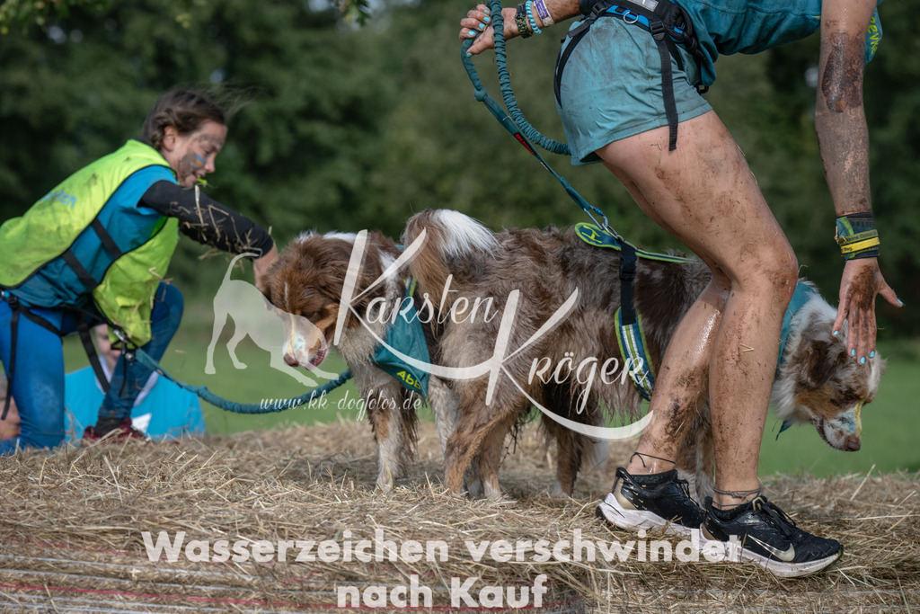 1616_ZZ92137 | kk-dogfotos