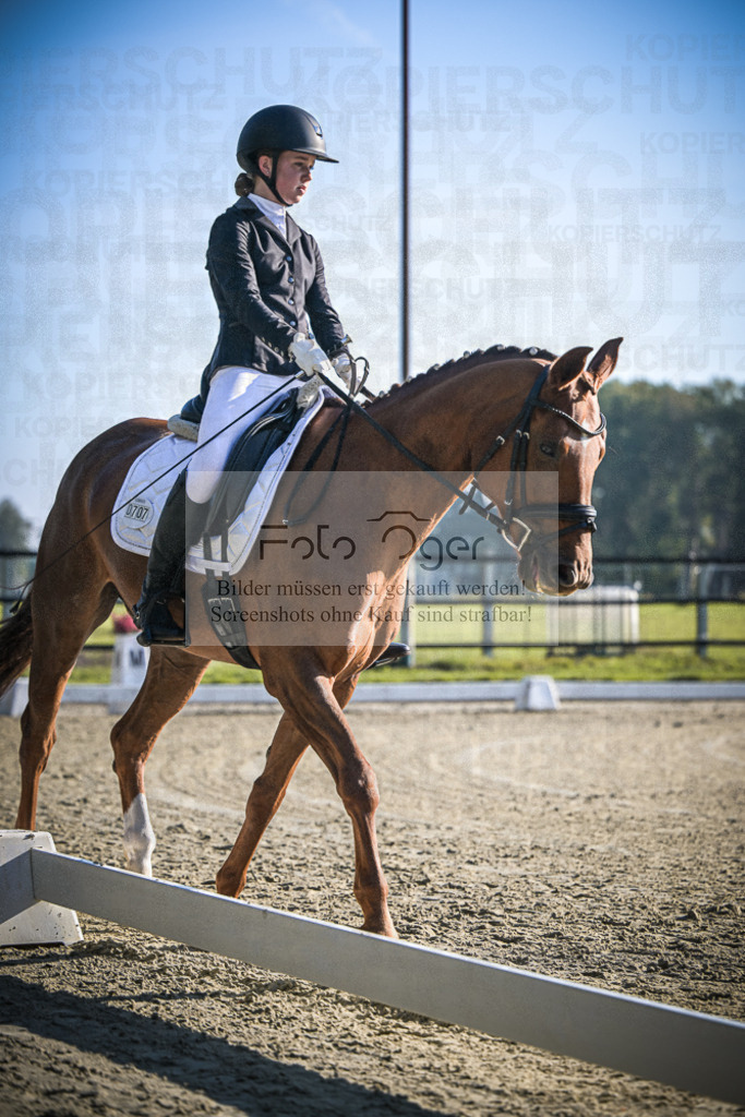 DOS_0913 | Entdecke hochwertige Reitturnierfotos von Foto Oger. Professionell, emotional und authentisch – jetzt Lieblingsmomente im Shop bestellen.Deutschlandweite Turnierfotografie. - Realisiert mit Pictrs.com