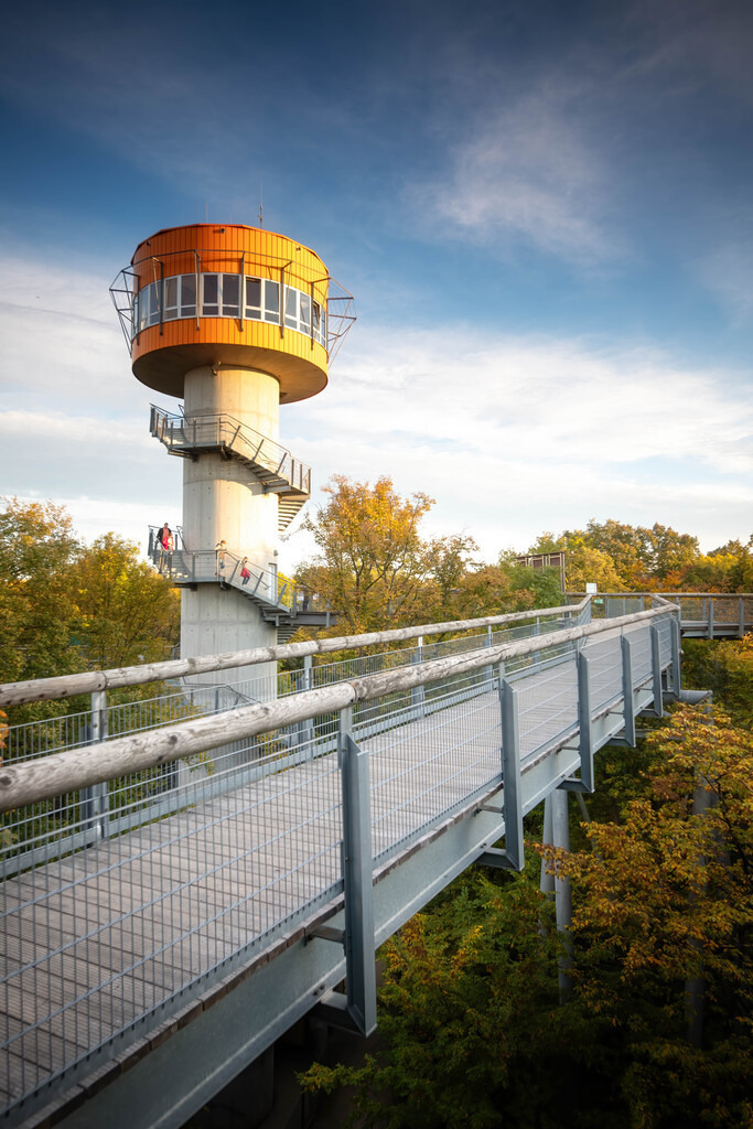 Deutschland Hainich 03 | christophschaarschmidt - Realisiert mit Pictrs.com