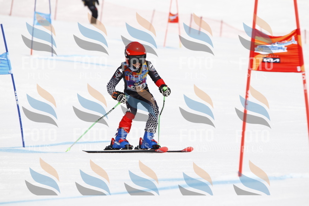 _U3G4902 | holidayphoto