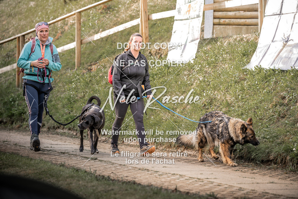 6Z1A1703 | nelerasche