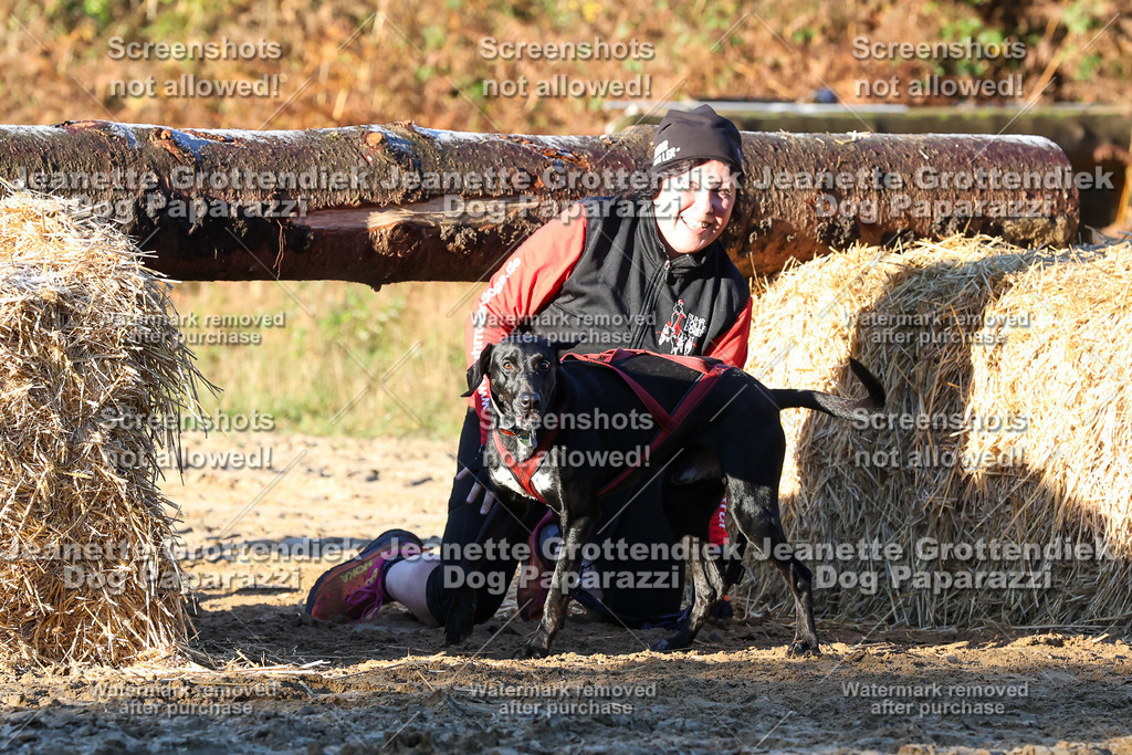 Dog Paparazzi - Strongdog 10-25-822 | Dog Paparazzi Jeanette Grottendiek Fotografie & Videografie - Realisiert mit Pictrs.com