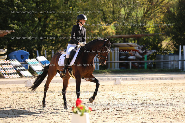 HG9A9370 | laurarinckfotografie - Realisiert mit Pictrs.com