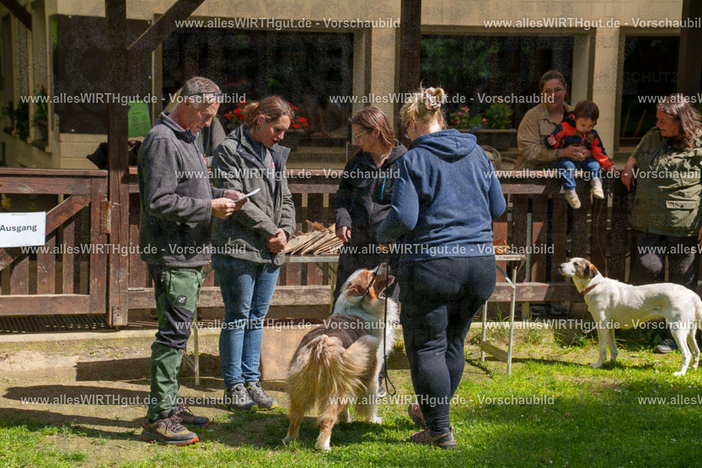 @allesWIRTHgut_Tierfotografie - www.allesWIRTHgut.de - 7R506098 | Professionelle Tierfotografie in Mönchengladbach von Daniel Wirth (allesWIRTHgut). Liebevolle & natürliche Bilder von Hunden & Katzen für unvergessliche Erinnerungen.