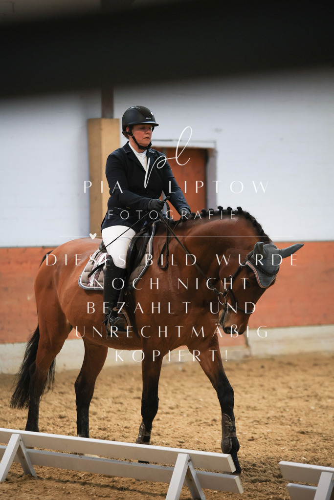 IMGT1914 | pl-fotografie