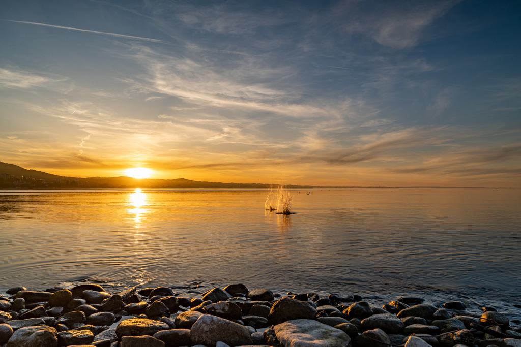 2023_02_21 A7409490 | bridgeman - Realisiert mit Pictrs.com