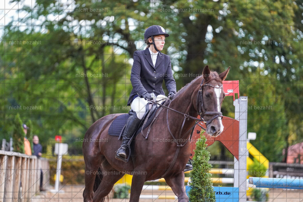 20221009-FAH08257 | Diessen am Ammersee, 2022, Dressur- und Springturnier, Reitsportbilder, Turnierfotografen Bayern, Pferdefotografen, Fotoagentur Herrmann, Turnierbilder