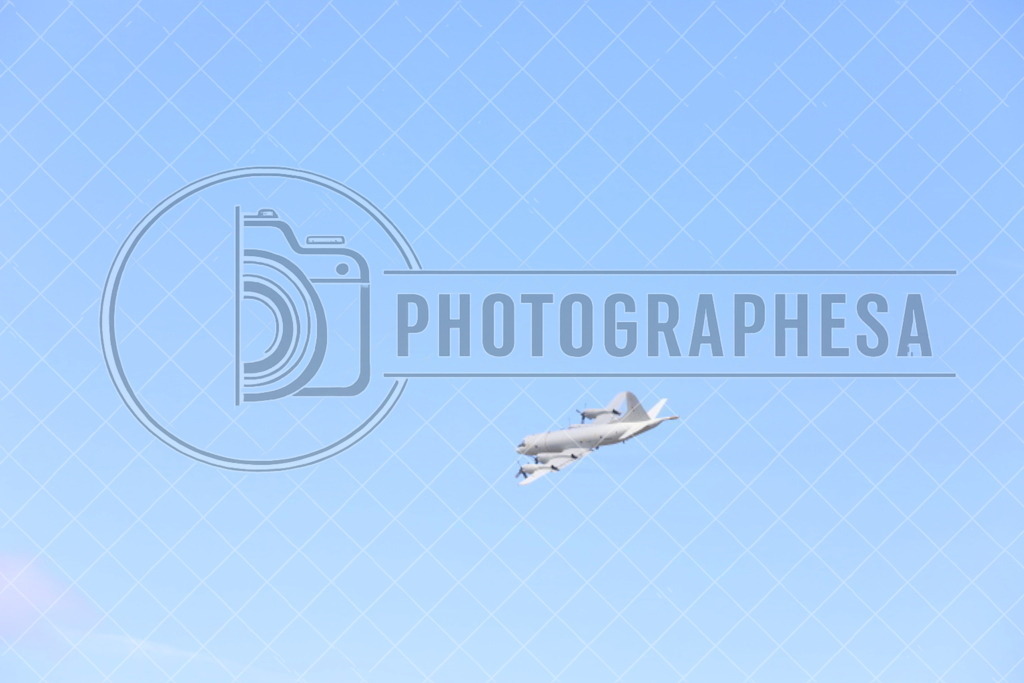 IMG_8808 | photographesa-joergens - Realisiert mit Pictrs.com