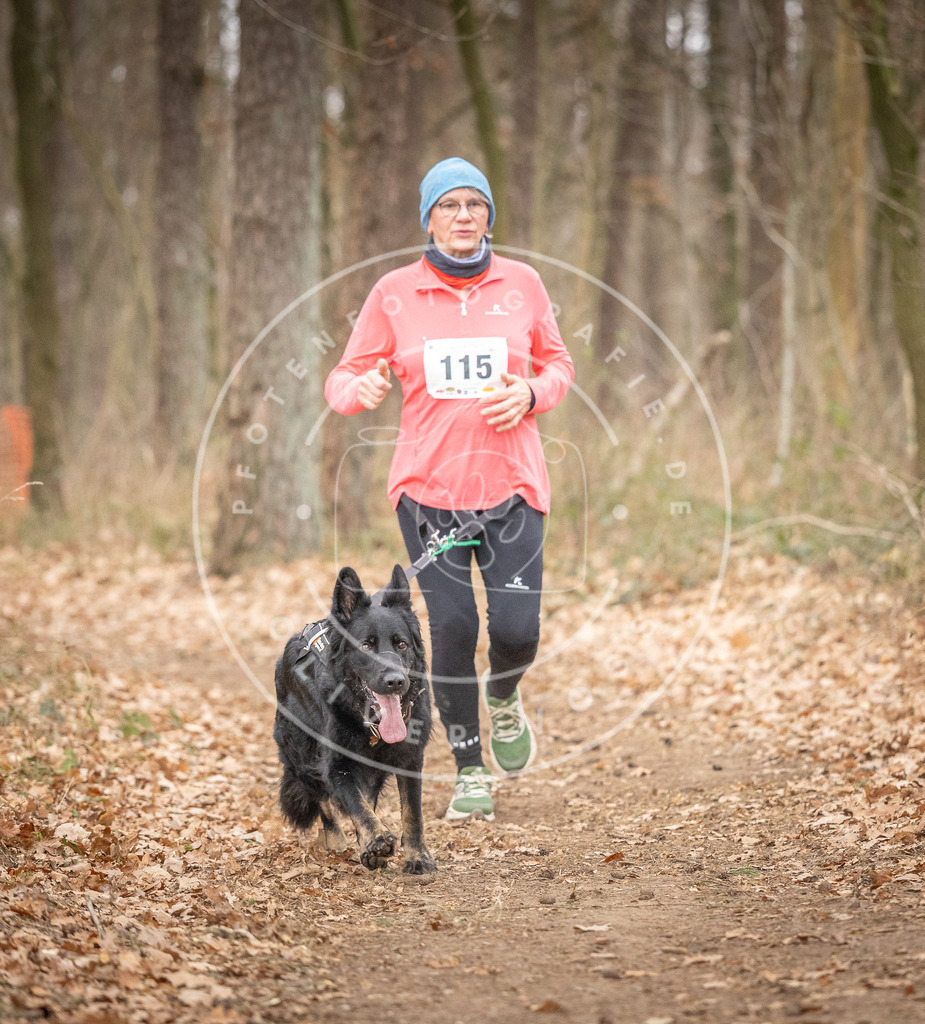 Pfotenfotografie_DV3A7745 | Hundefotografie, Tierfotograf, Pfotenfotografie, Fotoshooting Hund, Hunde Portrait, Hundesport, Hundeportraits, Heideshooting, Hunde, Sportfotograf, Hundefotograf, Turnierhundsport, THS,  - Realisiert mit Pictrs.com