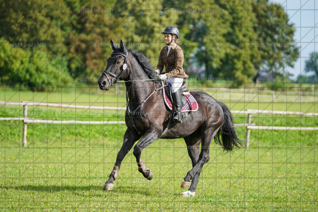 20230917-FAH09088 | Landsberg am Lech, 2023, Kaufbeuren, Kempten, Allgäu, Turnierfotografen Bayern, Fotoagentur Herrmann, Turnierbilder, Reitsport Fotos, Pferdefotograf, Augsburg, Bad Tölz, Dachau, Karlsfeld, Memmingen, Buchloe, Schwabmünchen
