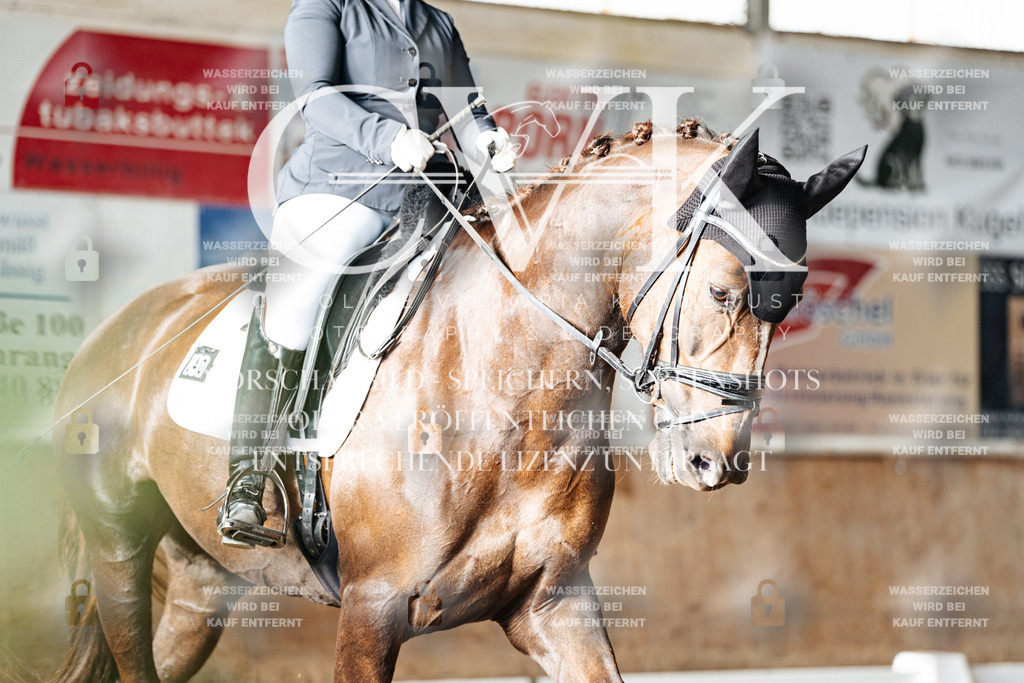 CK902732 | Turnierfotografie Pferdefotografie Trier Rheinland-Pfalz Pferdesport Reitsport Tierfotografie Sportfotografie Pferdevideo Pferdevideografie Equestrianvideography equestrianphotography  - Realisiert mit Pictrs.com