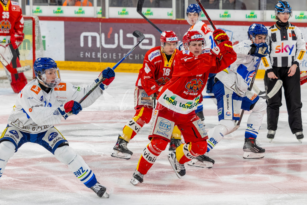 EHCB vs GCK 20260104-6300 | Sportbilder, Sportfotograf, Hochzeits- und Eventfotografin, Flugshows, Portraits und Tiershooting, Aviation, Downhill, Nationalleague, Swissleague, International