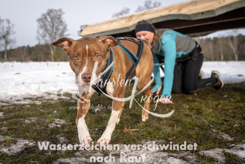0848_ZZ92718-4 | kk-dogfotos