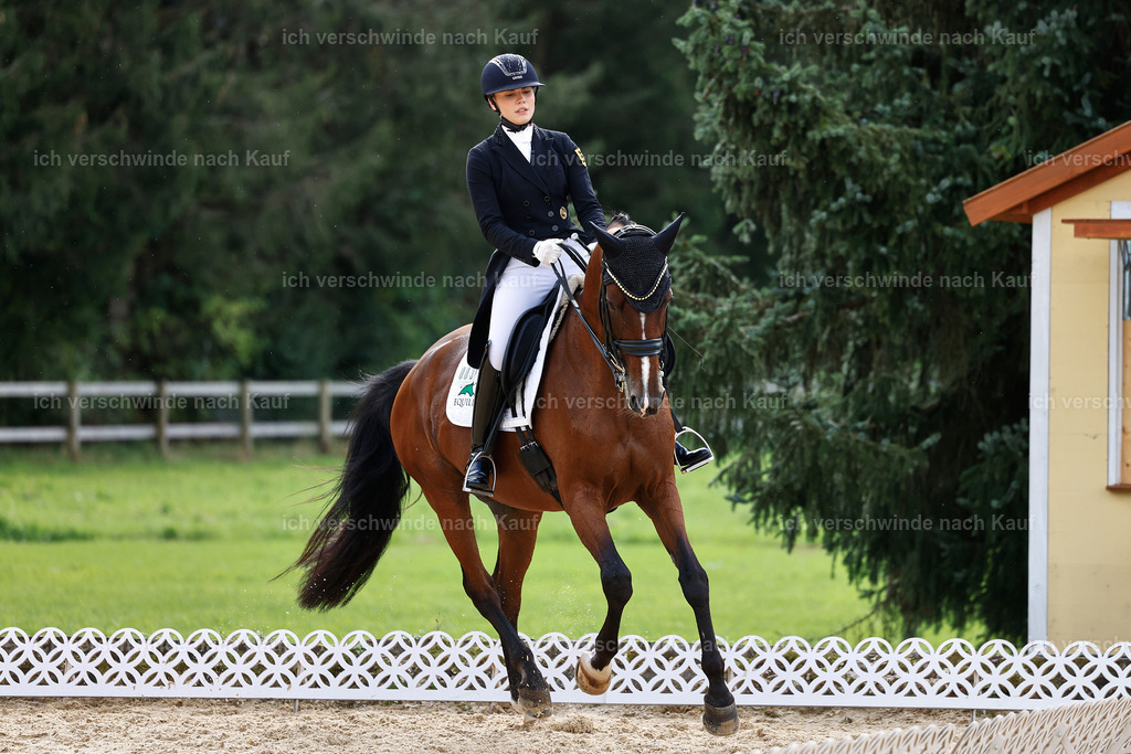 11-003-Dressur S___-StoibPH-1072 | working equitationturnier fotograf videograf stoibphotography marixx film working equitation deutschland reitsport turnierfotografie eventfotografie equestrian events